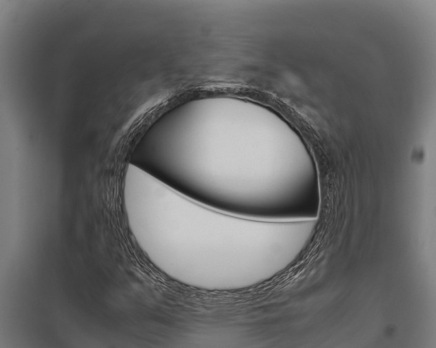 X0000098041351200803280744