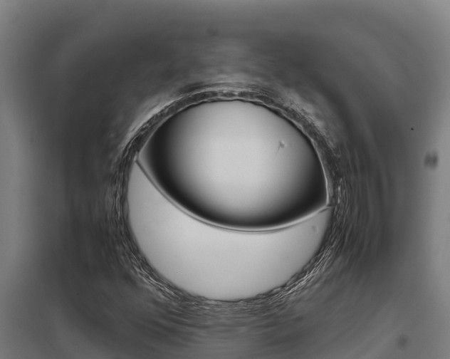 X0000098041352200803280744