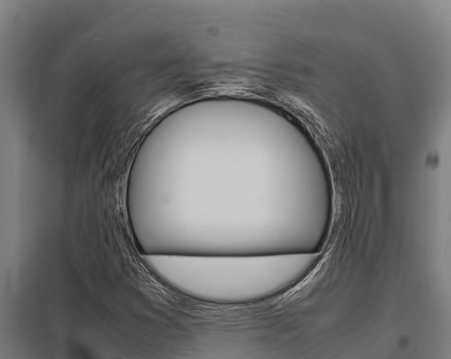 X0000098041353200803280744