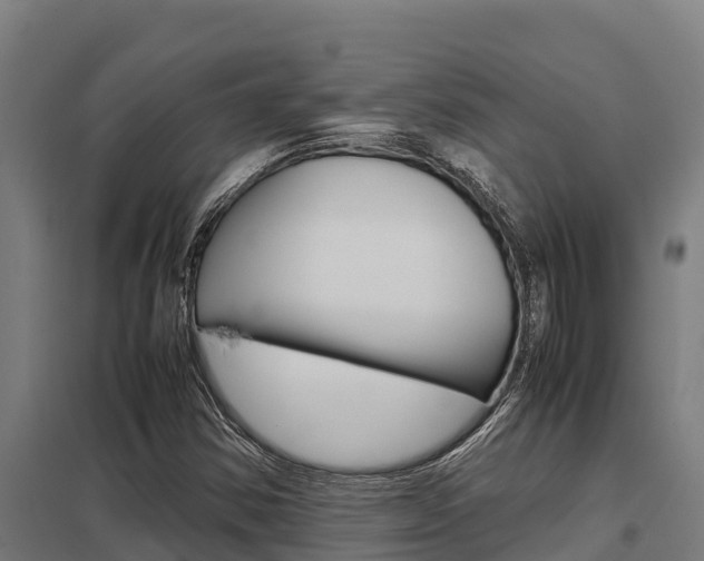 X0000098041354200803280744