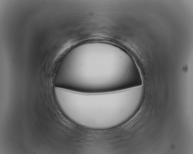 X0000098041355200803280744