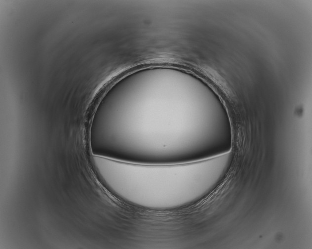X0000098041356200803280744