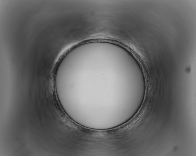 X0000098041358200803280744