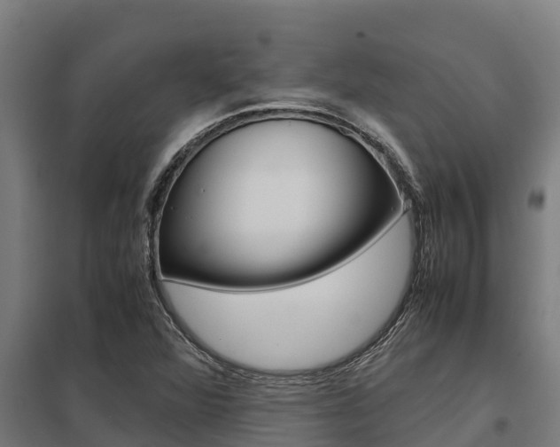 X0000098041360200803280744