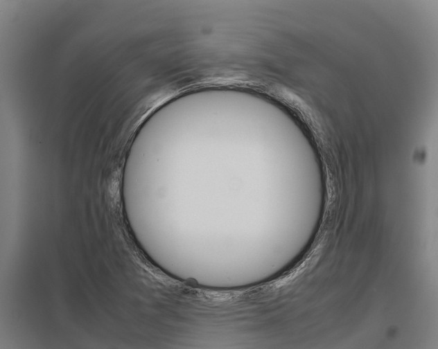 X0000098041361200803280744
