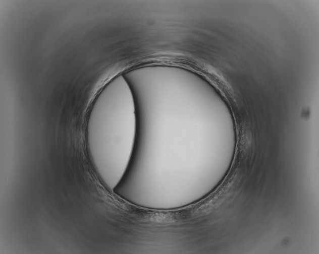X0000098041362200803280744