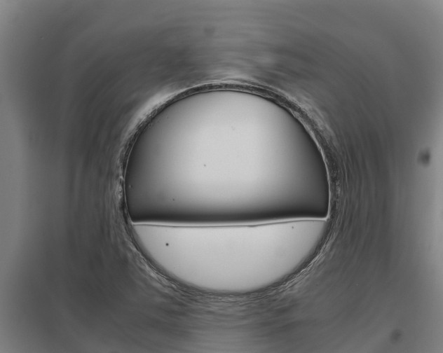 X0000098041363200803280744