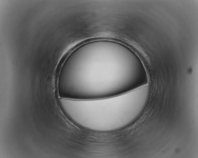 X0000098041364200803280744