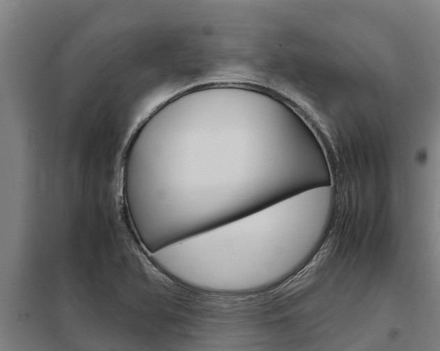 X0000098041366200803280744