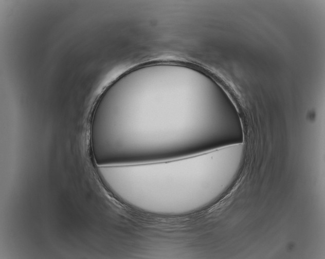 X0000098041367200803280744