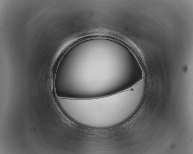 X0000098041368200803280744