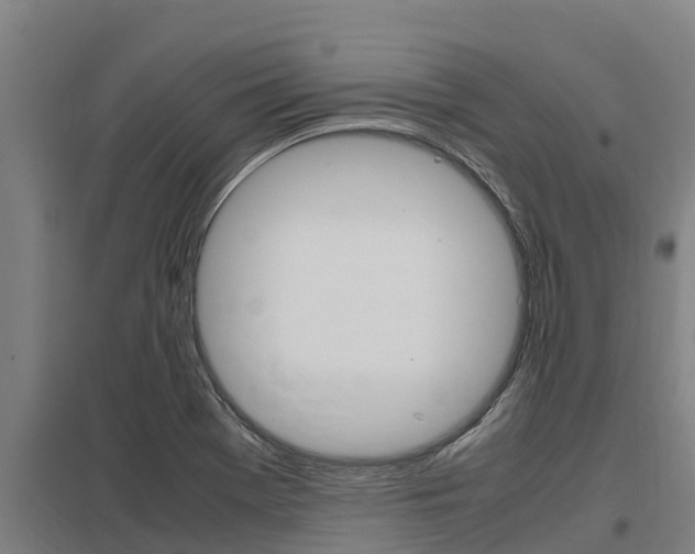 X0000098041369200803280744