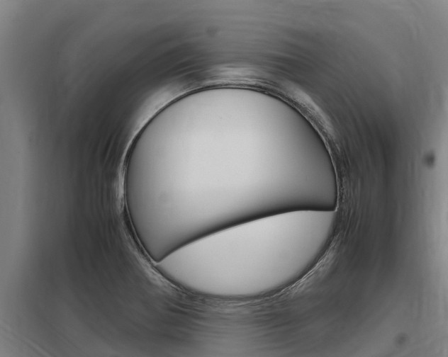 X0000098041370200803280744