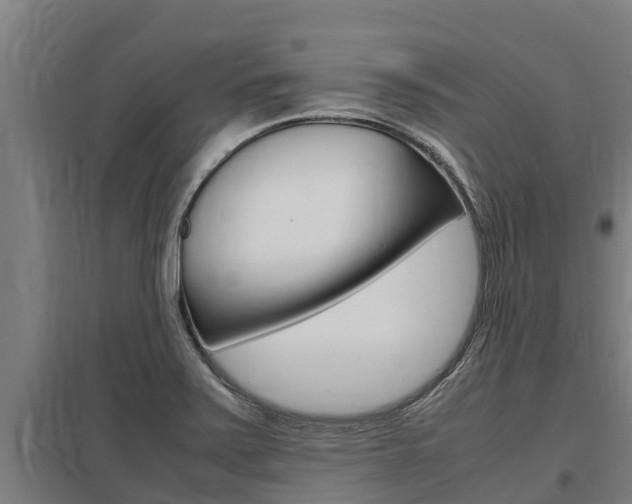 X0000098041371200803280744
