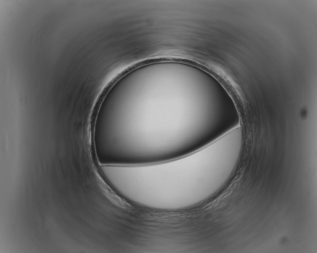 X0000098041372200803280744