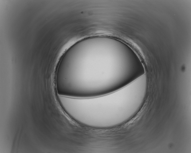 X0000098041373200803280744
