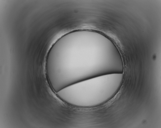 X0000098041374200803280744