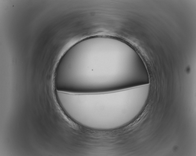 X0000098041375200803280744