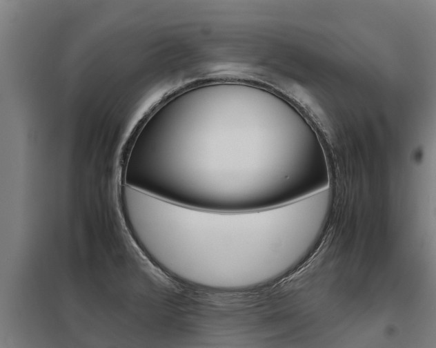 X0000098041376200803280744
