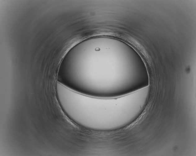 X0000098041377200803280744