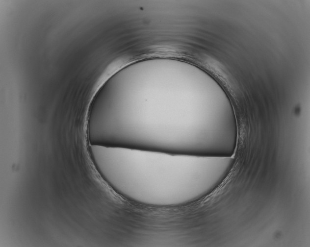 X0000098041378200803280744