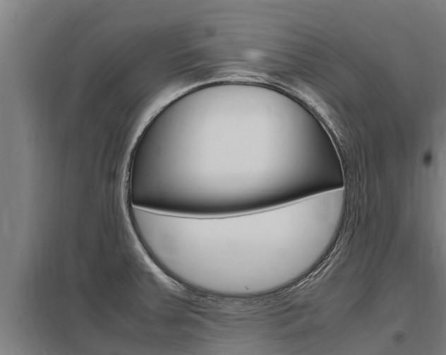 X0000098041379200803280744
