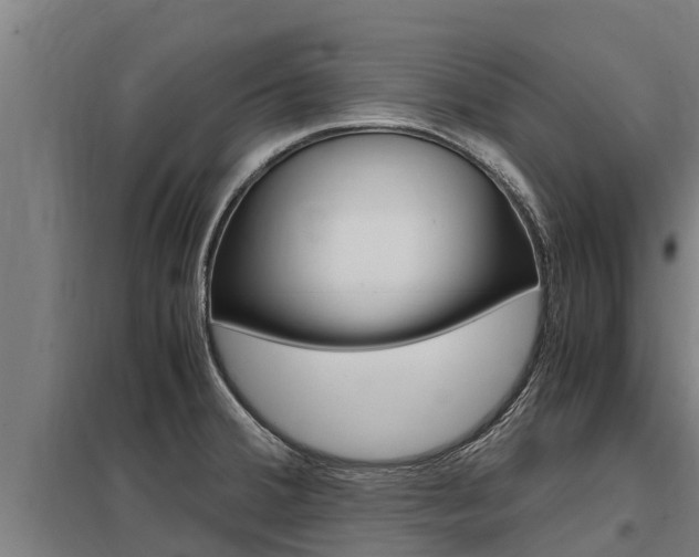 X0000098041380200803280744