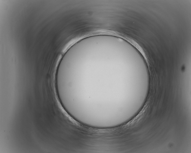 X0000098041381200803280744