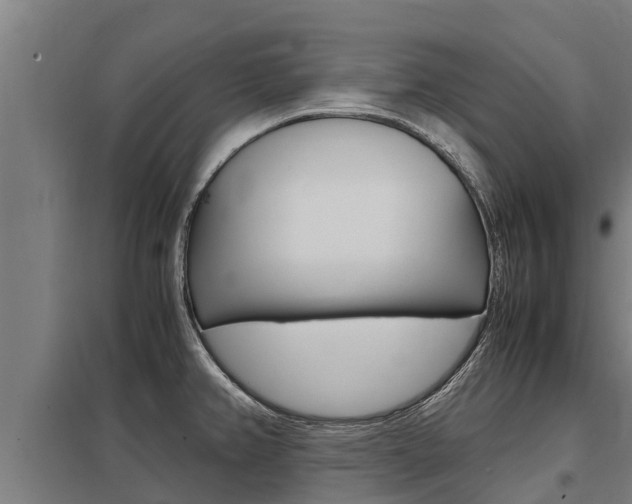 X0000098041382200803280744