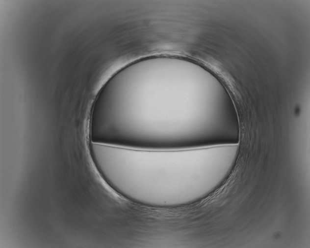 X0000098041383200803280744