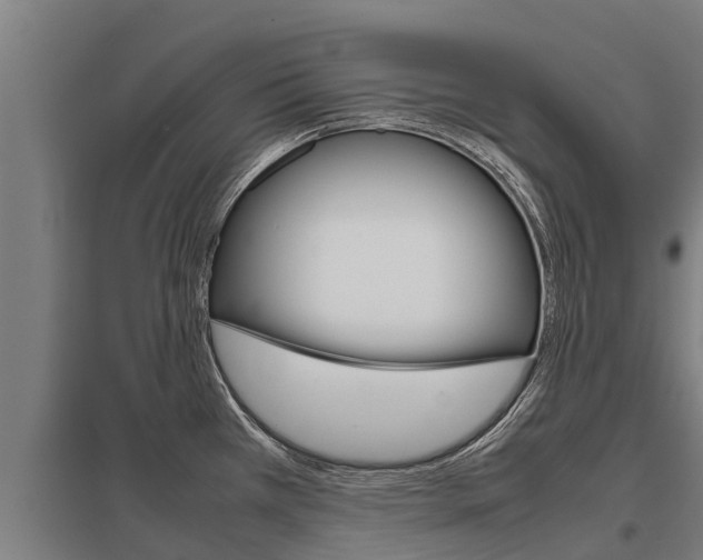 X0000098041385200803280744