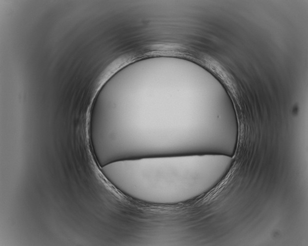 X0000098041386200803280744