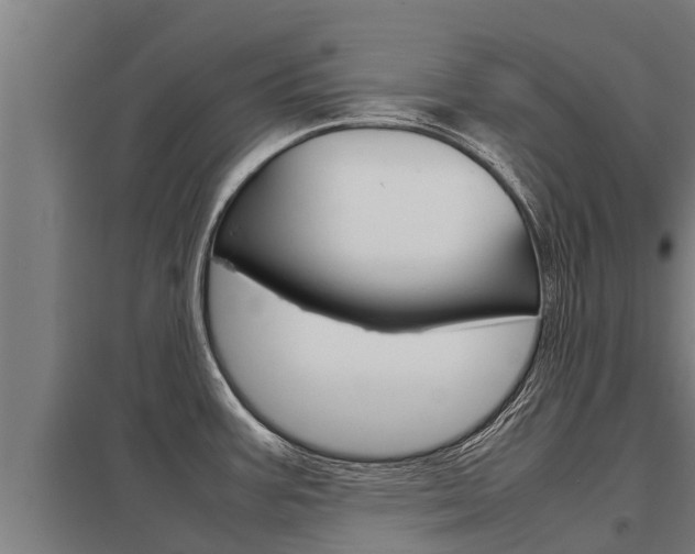 X0000098041387200803280744