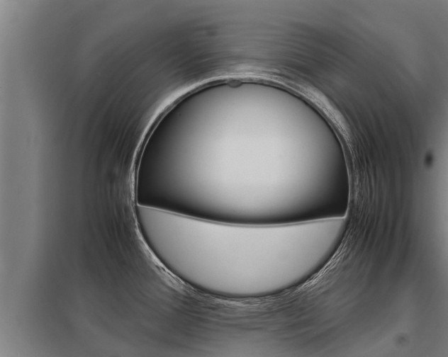 X0000098041388200803280744