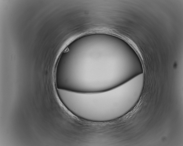 X0000098041389200803280744