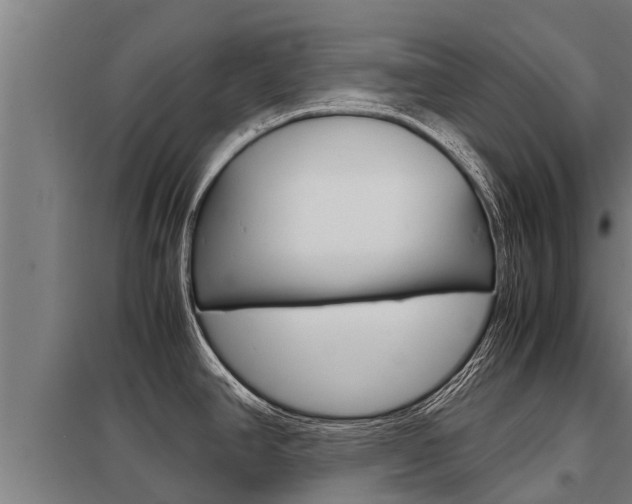 X0000098041390200803280744