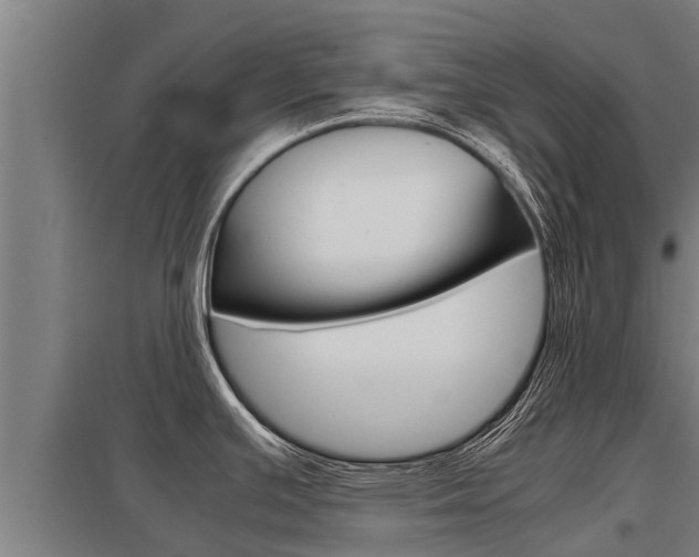 X0000098041391200803280744