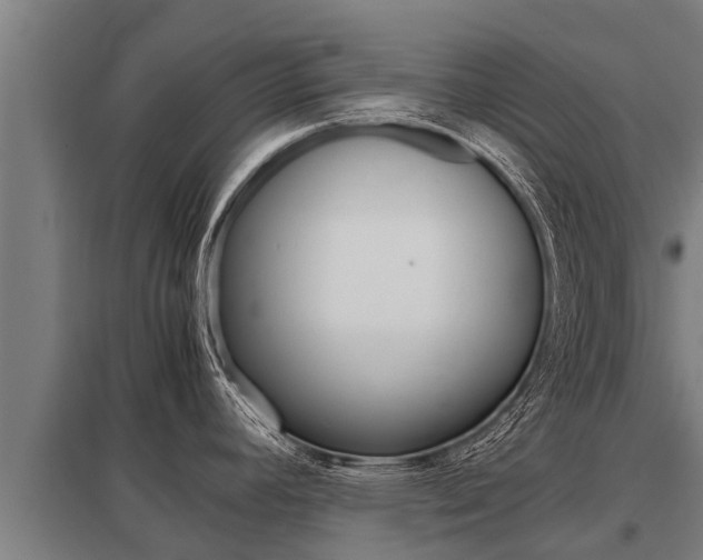 X0000098041392200803280744