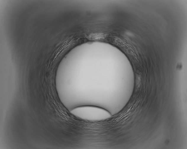 X0000098041393200803280743