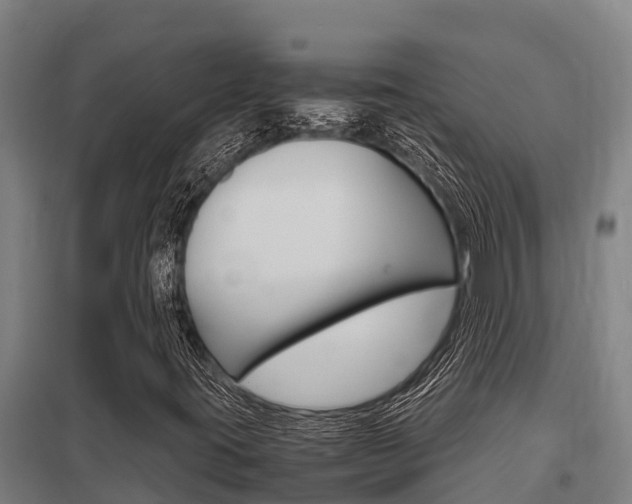 X0000098041395200803280743