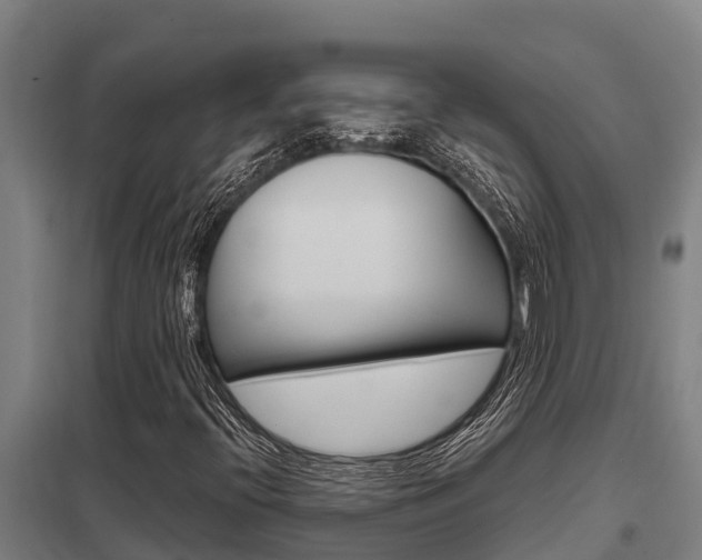 X0000098041396200803280743