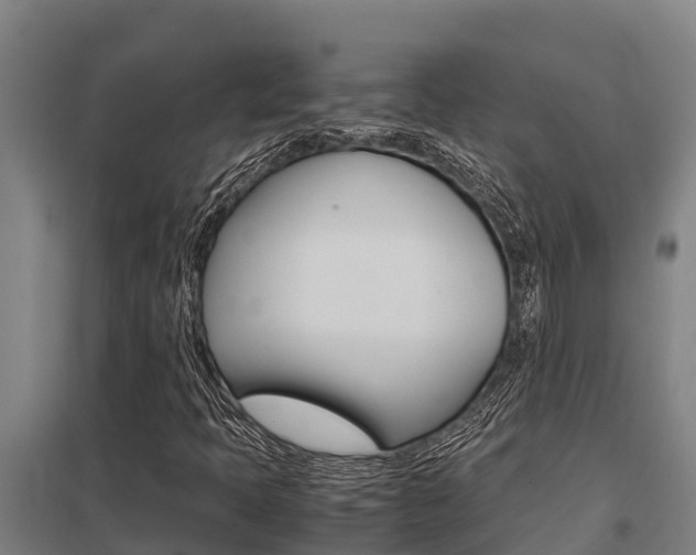 X0000098041397200803280743