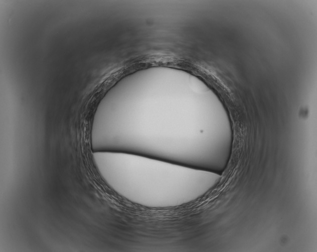 X0000098041399200803280743