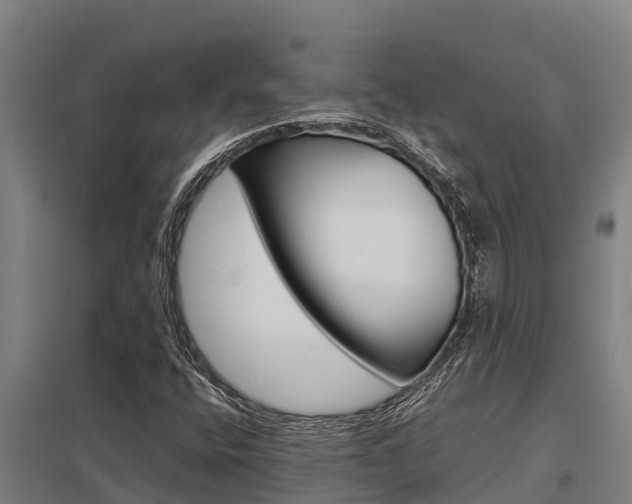 X0000098041400200803280743