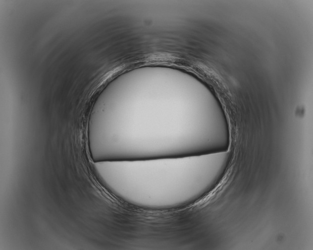X0000098041401200803280743