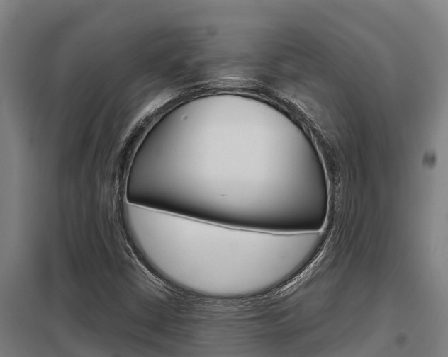 X0000098041402200803280743