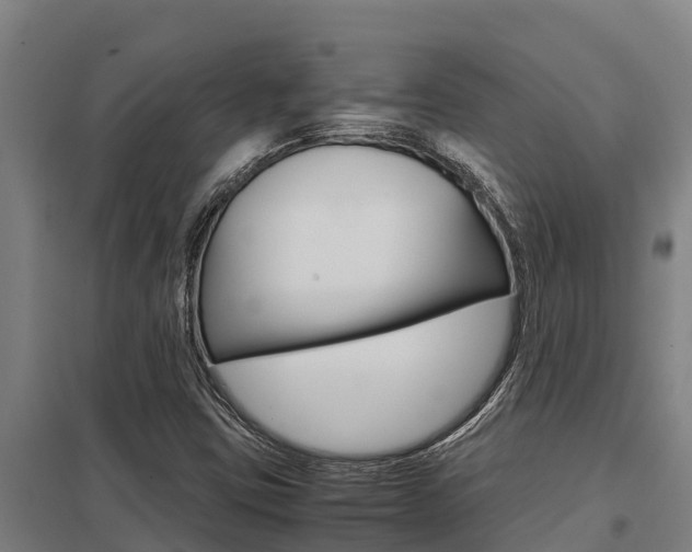 X0000098041403200803280743