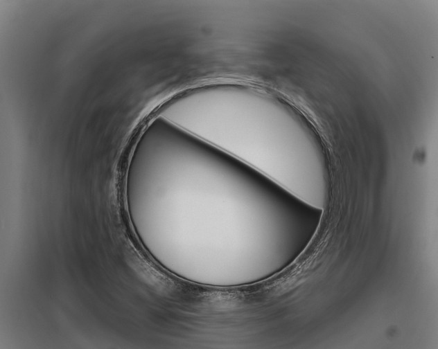 X0000098041404200803280743