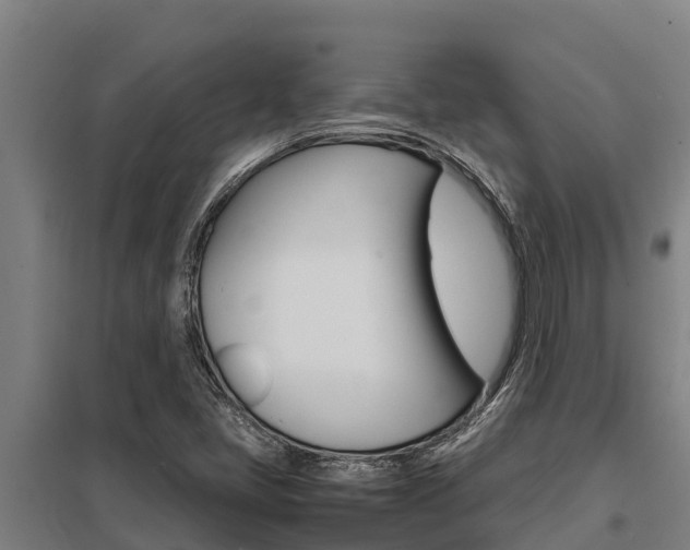 X0000098041405200803280743
