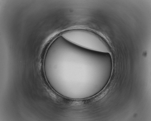 X0000098041406200803280743